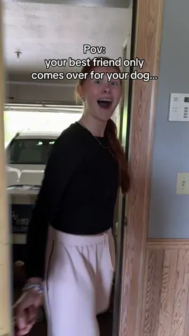 He is pretty cute… what kind of dog do you think he is? #dog #funny #bestfriend #problem #relatable #newfoundland #newfoundlanddog #satire #comeover #friendship 