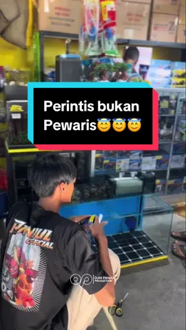 Semangat buat kita para perintis😇 #CapCut #fypdong #xybca #bismillahfyp #fyp #aquariums #akuarium #aquarium #aquariumhobby #aquariumdate #aquariumfish #ikanpredator #pengusaha #bosmuda #motivasi #perintis #usaha #bisnis 