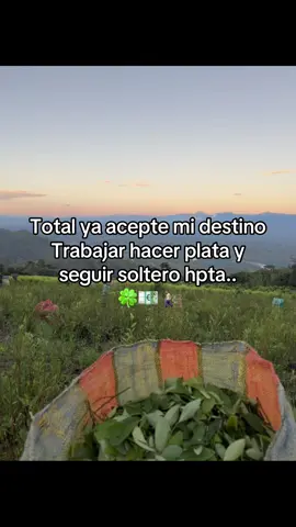 #hacerplata 