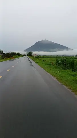 #amnhacvacamxuc #nhachaymoingay❤️ #suhuongtiktok2025❤️❤️❤️🥰❤️❤️ #trieuview 