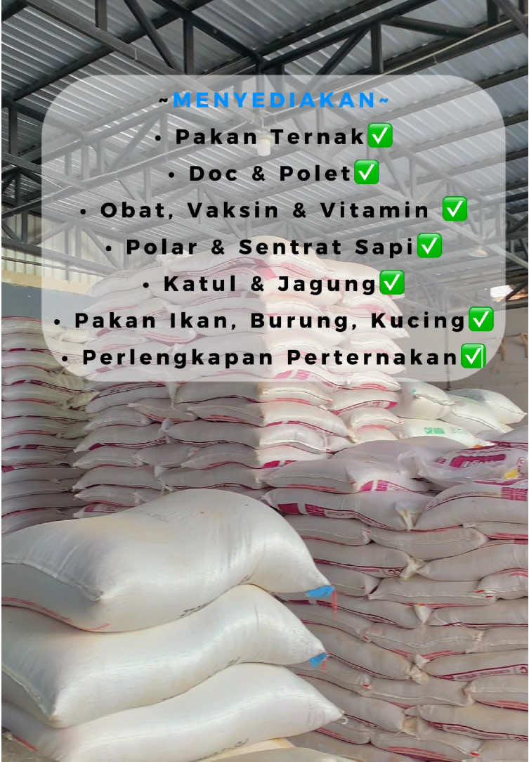 #tokopakanternak#sahabatternaknusantara #grosirdanecer #fypシ゚ #openingday 