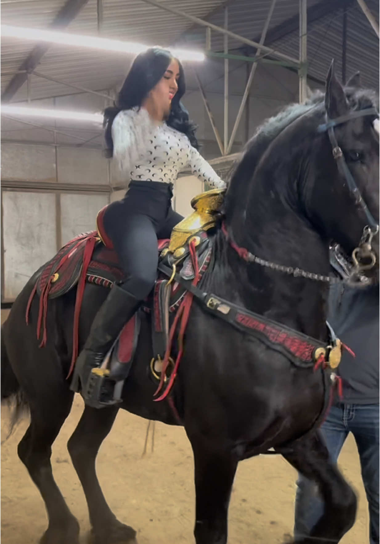 quiero 3 🐎🥲 #parati #fyp #caballos #mujerescaballos #bailando 