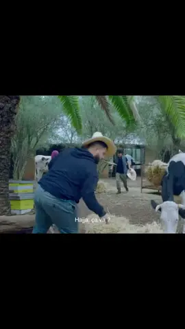 #viral #fyp #marocaine🇲🇦 #explore #الشعب_الصيني_ماله_حل #foryou #مشاهدات_تيك_توك #موسيقى #music #