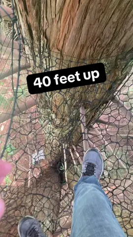 Finishing the wall #treenet #maker #nature