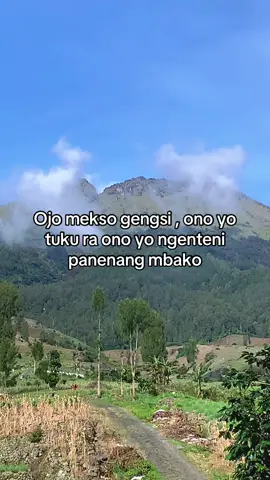 mugo wae mbakone payu larang🔥 #petani #petanimuda #tembakautemangung #temanggung24jam #fyp #trending #xybcaa 