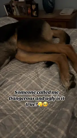 Let’s cheer up Luna in the comments #foryoupage #dogsoftiktok #fyp #PetsOfTikTok #uglydog #cutedog #saddog 