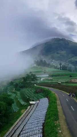 Kabut tipis romantis #alterbridge #laguviral #fyp #openyoureyes 