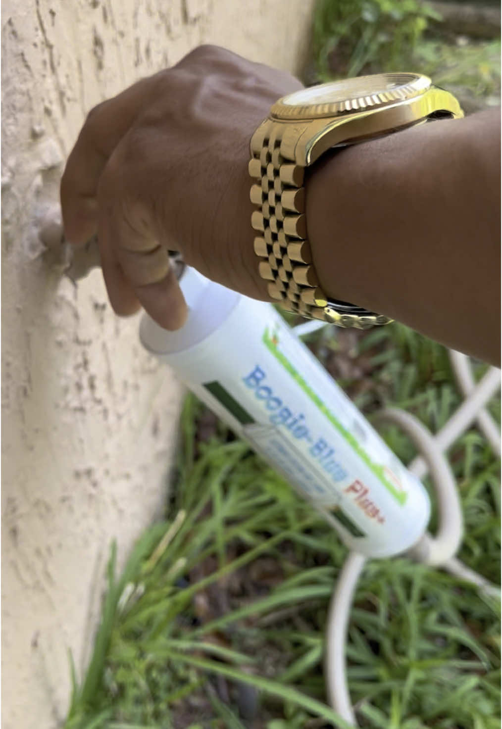 💦🌱Trying a water filter for watering my plants… #plants 