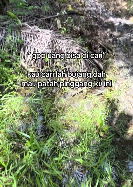 nampak kali bedanya sawit di urus sama yg gak di urus🗿#petanisawit #sawitontiktok #fypage #petanimuda 