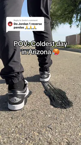 Replying to @Smile which shoes next?  #arizona #asmr #satisfying #jordan1 