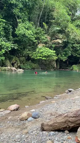 💚💚 Tangkahan📍 #tangkahan #triptangkahan #langkat #sumut #tangkahanlangkat #padaharini #tiktok #😎 #privatetrip #joinus #holiday #alam #leuser #gajah 
