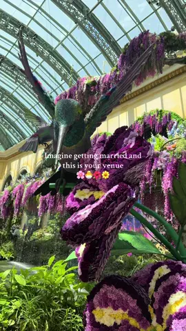 The @Bellagio Las Vegas has my 💗 #bellagio #lasvegas #vegasresort #vegasluxury #luxetravel #luxurytravel 