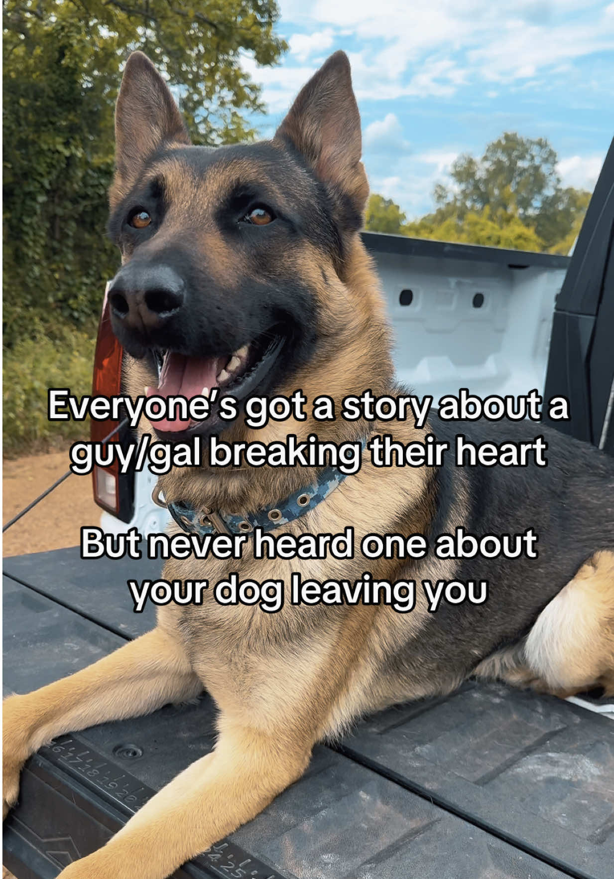 Go pet your dog now #mansbestfriend #dogsoftiktok #breakuptiktok #fyp @GUNNER 
