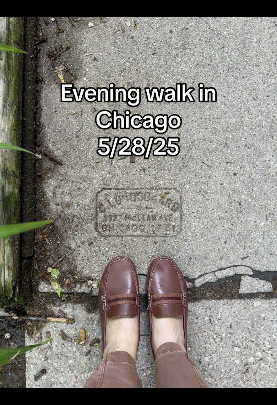 If your ideal evening includes a leisurely walk to Lake Michigan, then you’re in the right place. It’s another gray evening, but thankfully not too windy at the lakefront. Love seeing the honey locust trees finally filling out their leaves. 🍃 Follow me for more Chicago life and adventures. #chicago #chicagolife #slowlifestyle #chicity #lakemichigan #edgewater #eveningwalk #may #northside 