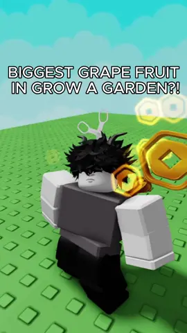 BIGGEST GRAPE FRUIT IN GROW A GARDEN?#fyp #roblox #growagarden