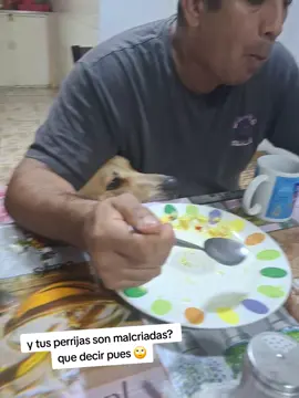 Y con chuchara pues... aquí es otra alcurnia 😂😂😪 #perrijos #perrijosdetiktok #fyp  #diadelperrocallejero #elmejortata 