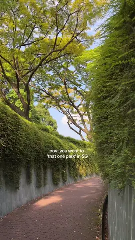 Where history meets greenery, Fort Canning Park Singapore is a must-visit for anyone who loves culture and great photos ✨📸 Take a stroll and experience the park’s beauty for yourself. 💚 📍Fort Canning Park #VisitSingapore #Singapore #fortcanningpark #photospots #parkstovisit #cityinnature 📸: @౨ৎ 