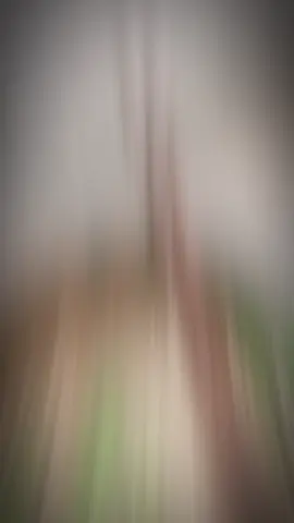 #CapCut 