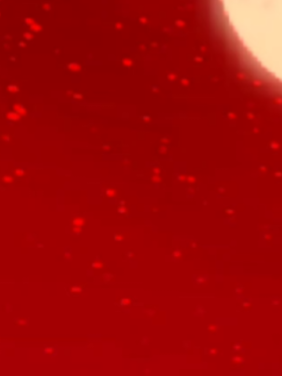 @Xixi 🎈 YOU DID NOT JUST DO THAT😭 #roblox #growagarden #alnst #ALIENSTAGE #Blacksorrow #ivantill 