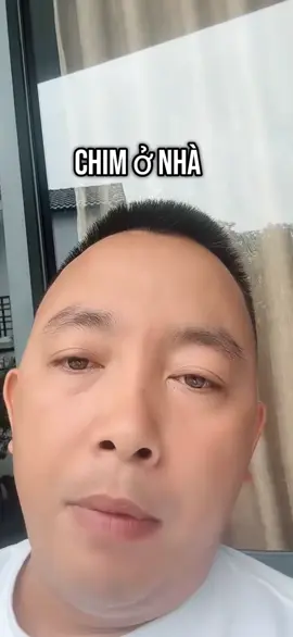 CÁCH CHỌN CHIM VÀ TÉT CHIM CÓ GIÁ TRỊ ANH EM CẦN LƯU Ý NHƯ SAU...THẤY HAY Ý NGHĨA NHỚ FOLLOW VÀ THẢ ❤️ CHIA SẺ ANH EM NHÉ