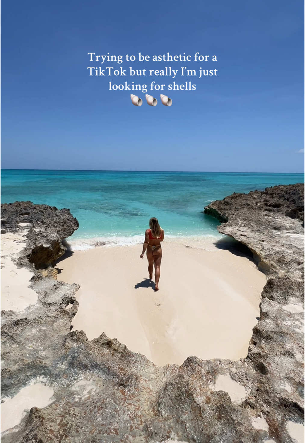 A moment for this pocket beach please 🏝️ she’s so cute! #beach #ocean #shell #island #Summer 