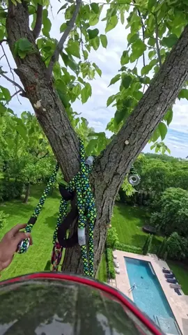 @R&N.arborist.supply.inc  🤙🏼🌲🌳#treework #petersling 