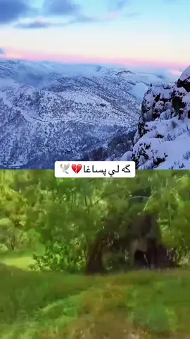 گه لي پساغا👀🕊️  < سندي> #گه_لي_پساغا #سندي #سندي_پساغا  #كوردستان #جبال #چيا #بارزاني_ناسنامه_گه_لي_كورده💛 #اللهم_صلي_على_نبينا_محمد #الله_اكبر  #لايكات #لايك__explore___ #اكراد #كردستان🇹🇯_دهوك_زاخو_اربيل🇹🇯 #زاخو_دهوك_هولير_سليماني_ئاكري_سيمي #باديني #جبل #بحر #كورد #kurdistan 