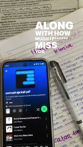 😞😞#uncrush? #capetown #lyrics #fyp 