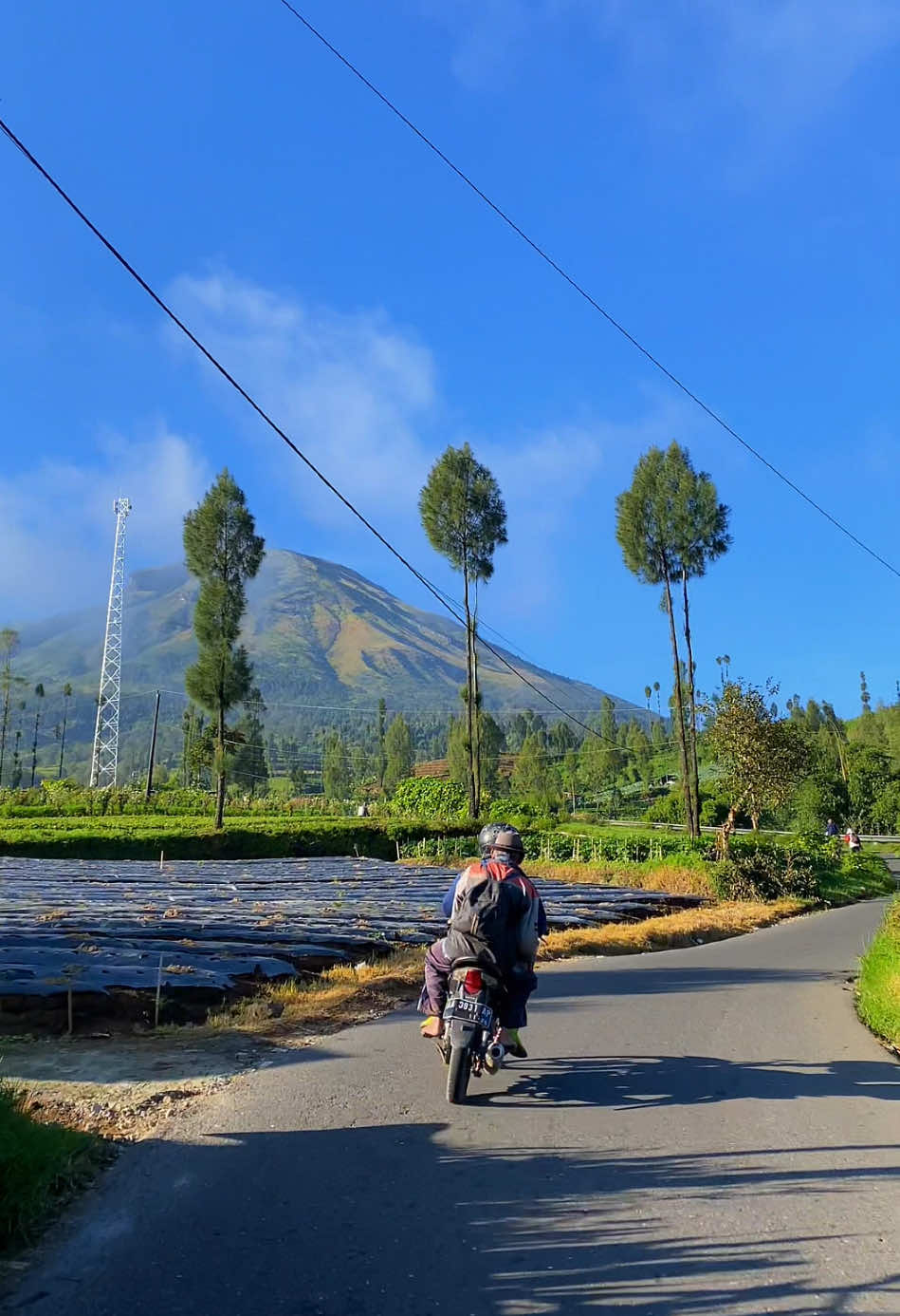 Akhirnya kita ke Wonosobo lagi 😊 Salah satu jalan dengan view gunung sindoro yang indah ⛰ #wonosobo #sigedang #viewsindoro 