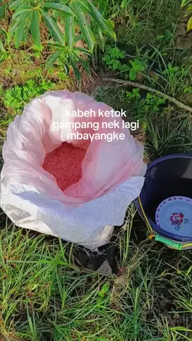 ketok angkless#fyppppppppppppppppppppppp#petanimuda#4upageシ 