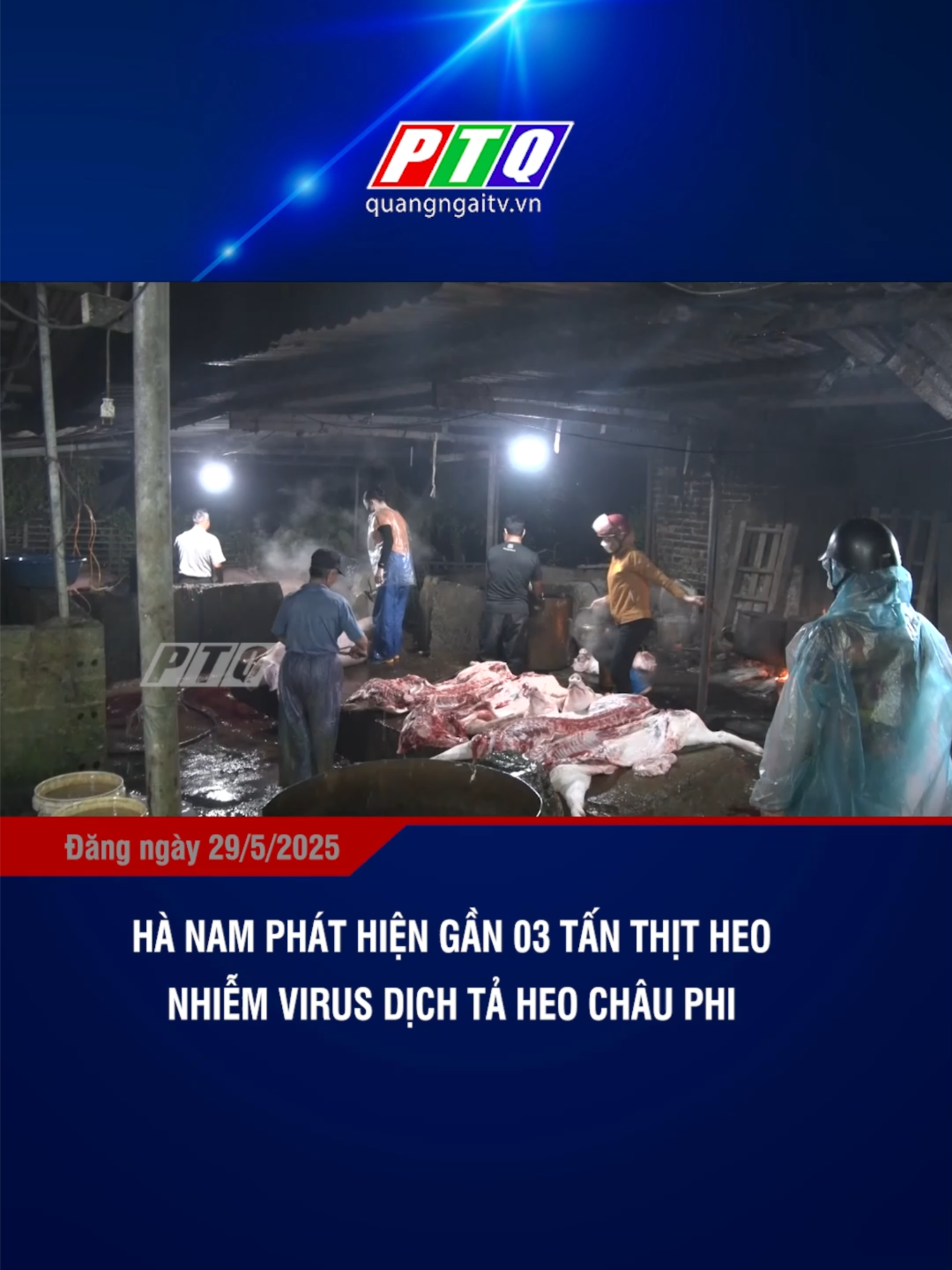 Hà Nam phát hiện gần 03 tấn thịt heo nhiễm virus dịch tả heo Châu Phi #dthquangngaimcv #dthquangngai #quangngai #76quangngai #tiktoknews #onhaxemtin #truyenhinhquangngai #tintuc #ptq #xuhuong #thinhhanh #ti̇ktok #congan