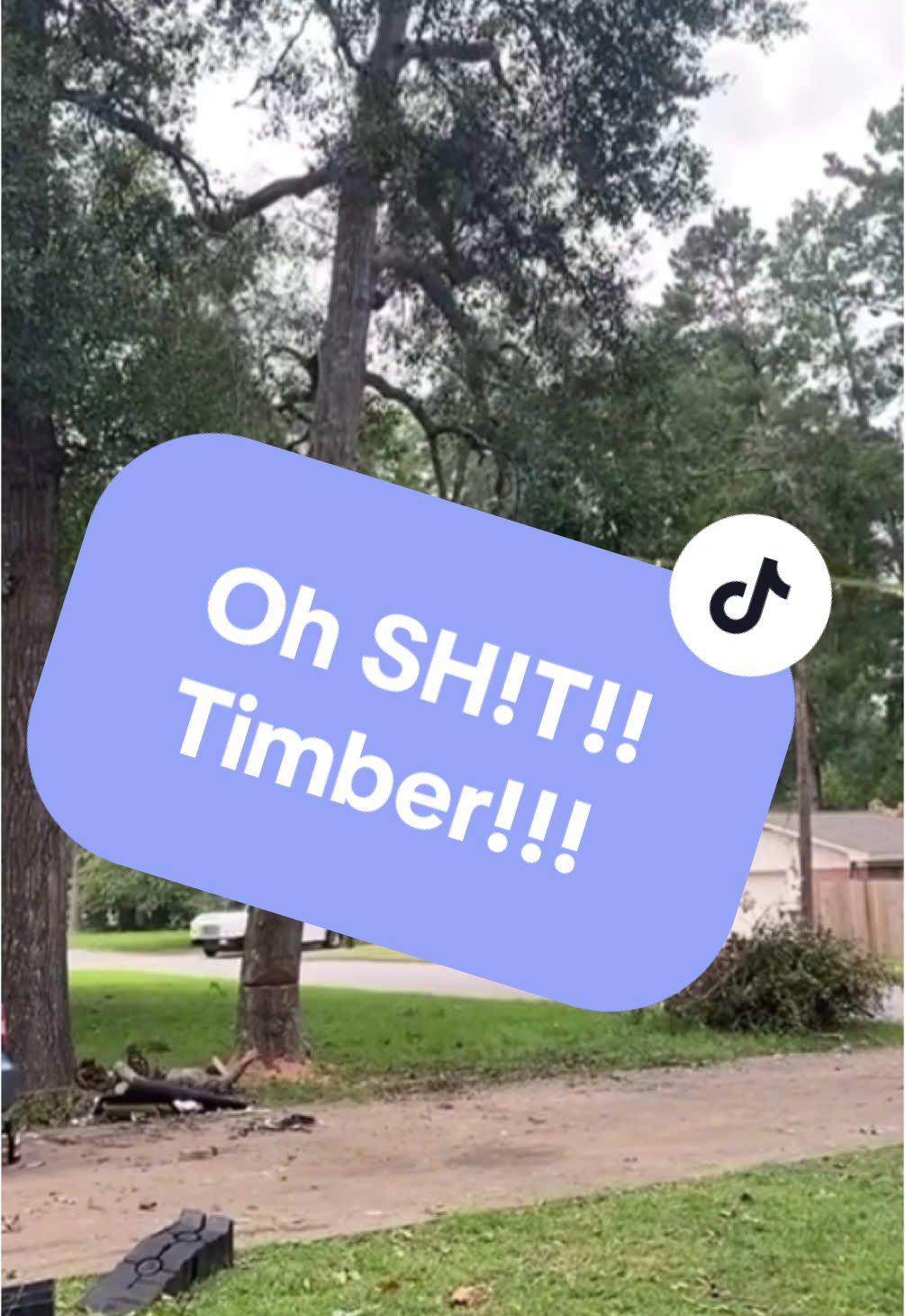 It was almost perfect timing. At least he yelled timber.  😂😳. #timber #close #treefalling #closecall #fyp #foryoupage #viral #reels #treecuttingfail 