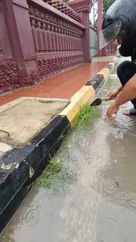Clean Front of Drain #culvert #remove #unclog #uncloggingdrains  #clean #trending #foryou 