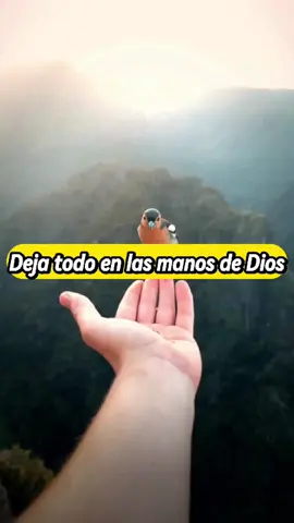 deja todo en las manos de Dios  #crecimientopersonal #desarrollopersonal #reflexiones #exito #mensajespositivos 