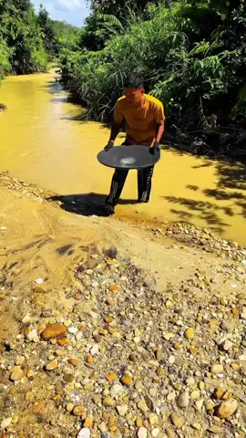 Looking for gold and panning for gold buried in river walls #goldhunter #goldpannning #mininggold #goldhunter #golddiscovery #viralvideo #foryou #foryoupage 