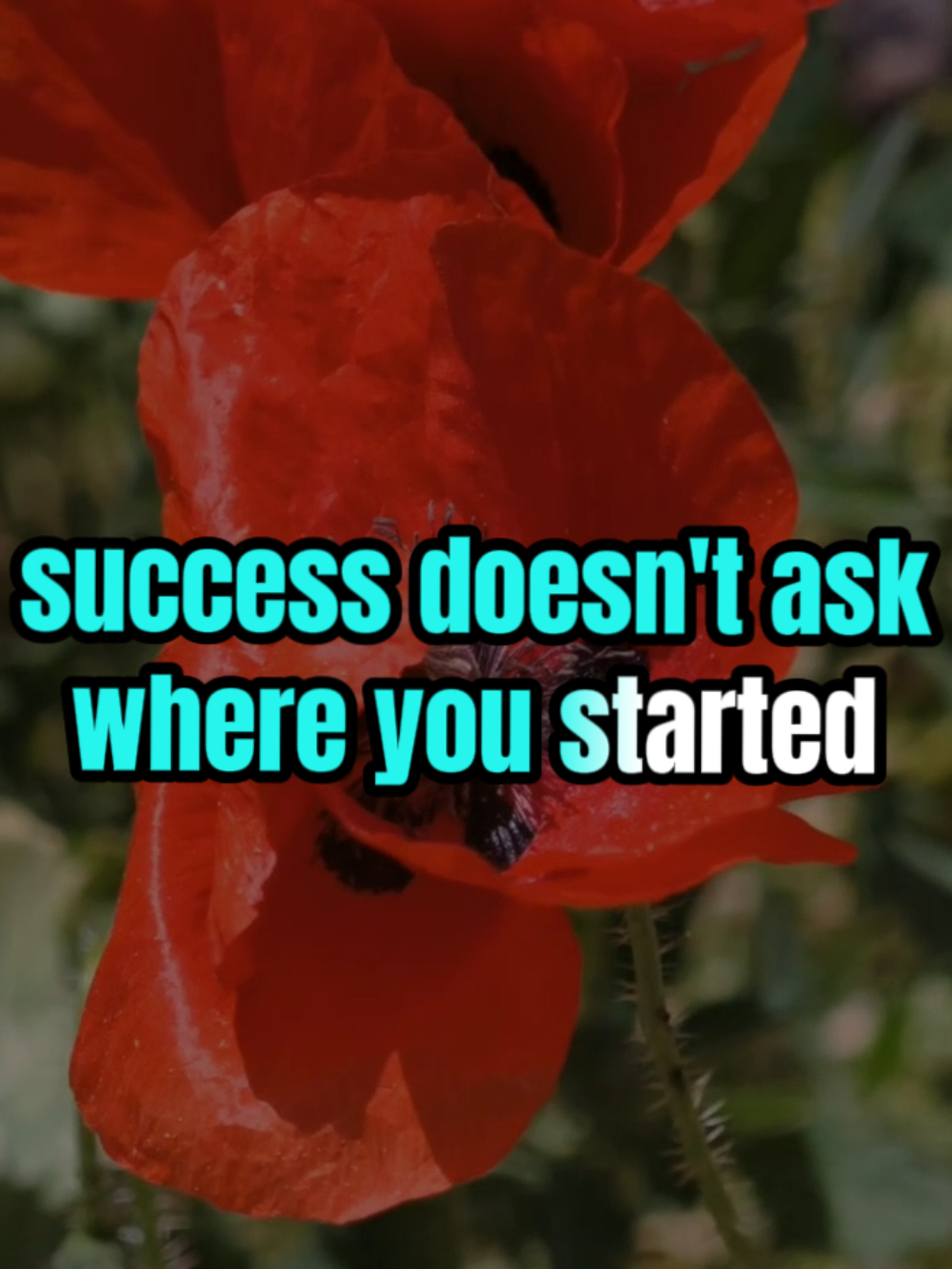 Keep Going. your time has come.