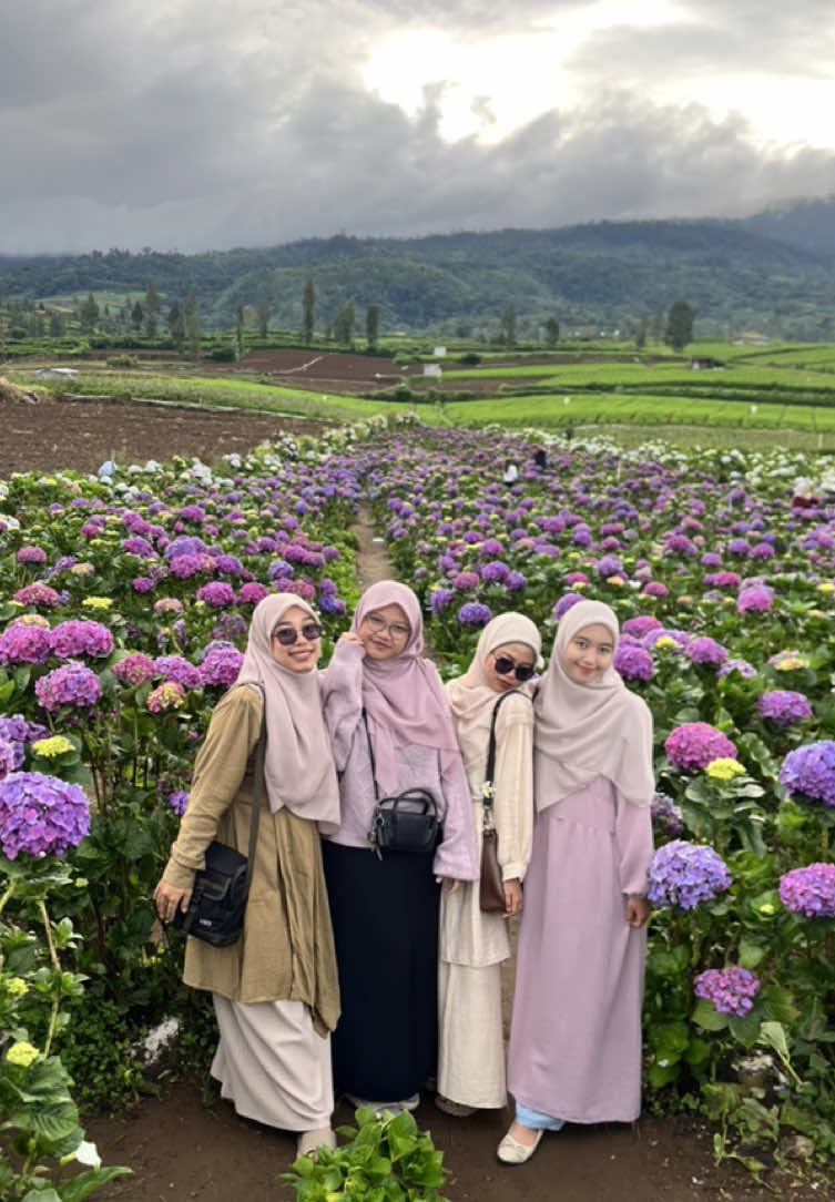 KEBUN BUNGA HORTENSIA BRAKSENG🌸 #OOTD #ootdhijab #ootdhijabstyle #ootdfashion #trend #trending #trendingvideo #trendingsong #trendingtiktok #batumalang #kotabatu #explore #explorer #fyp #fypage #viral #viralvideo #viraltiktok #jatim #jatimpride #brakseng #bungahortensia @Chaulaint | My Life Journal👑 