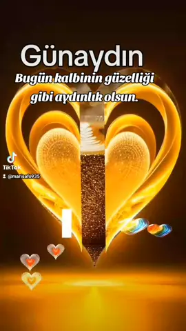 #Günaydın  Beğeniler için teşekkürler 
