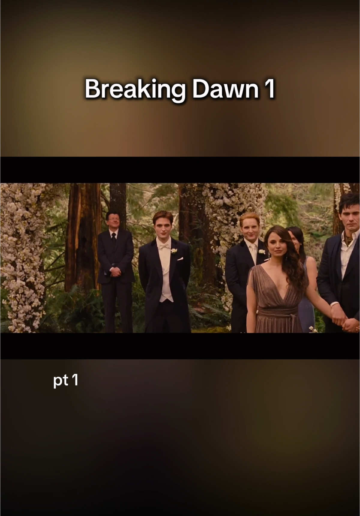 🕊️💍 #fyp #foryou #twilightedit #breakingdawn #twilightsaga #twilightwedding #edwardandbella #turningpage #twilighttok #bellaswan #edwardcullen #weddingscene #romanticmoment #twilightforever #moviewedding #emotionalscene #iconictwilight #twilightnostalgia #kristenstewart #robertpattinson #movieedit 