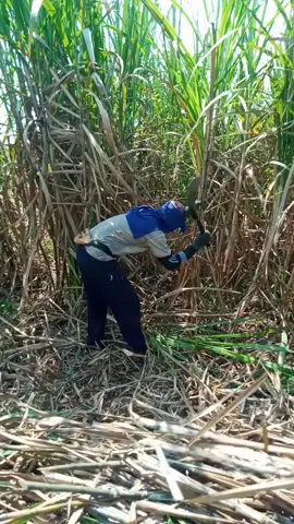 jangkreeekkk tebass tebu malah krungu sound jaranan asem tenan kih#kemekel #reel #lucu #komedikocak #vt #fyppppppppppppppppppppppp #