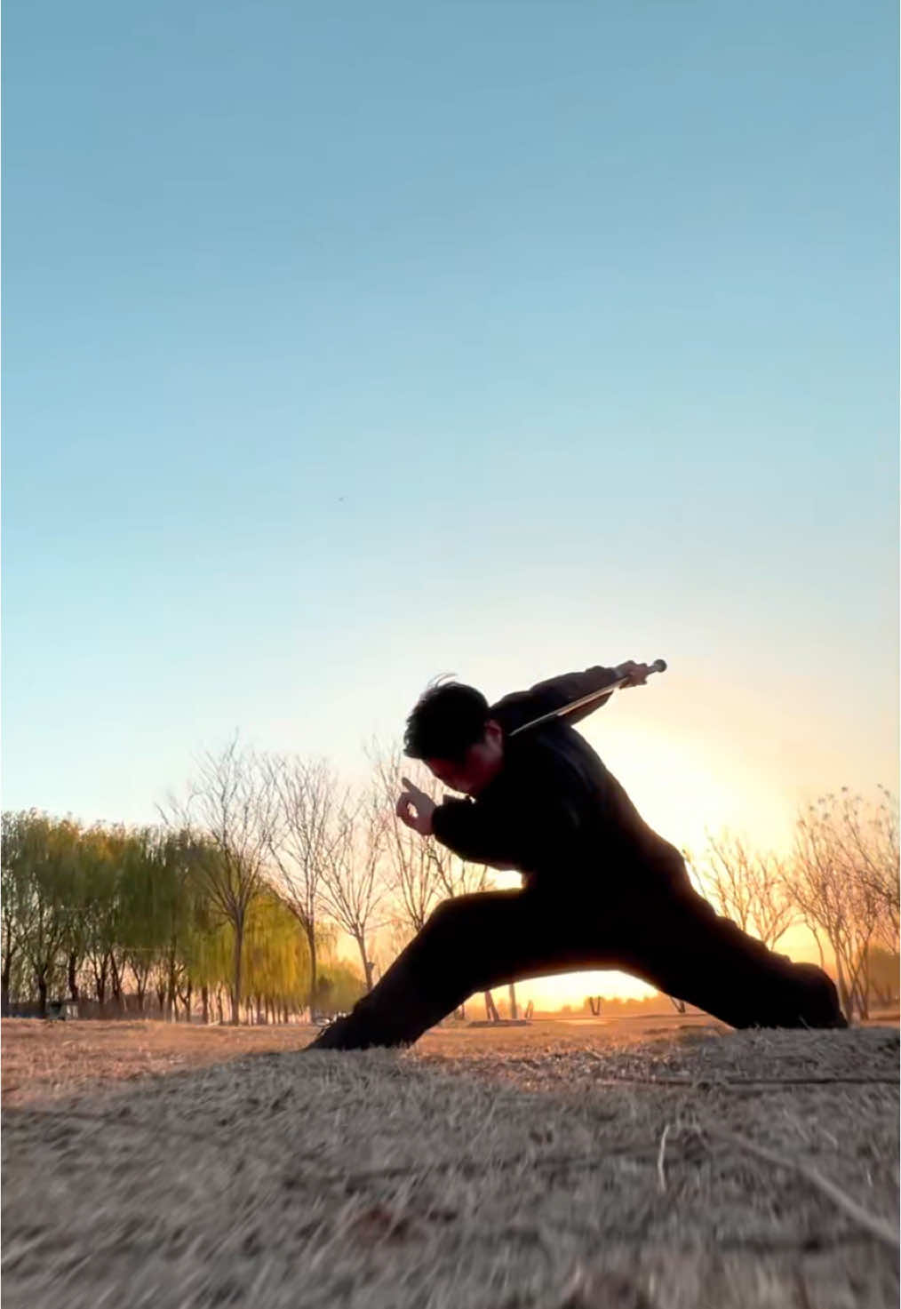 #中国非遗文化 #剑来 #武术  最好的自己。一身正气