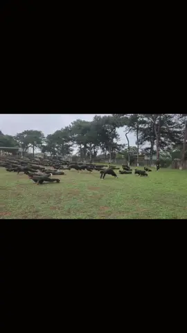 Mấy đồng chí nói này nói kia nè thử đứng lớp thử đồng chí hô mấy bạn ở dưới không nghe mấy bạn có tức không😘#linhtanbinh #nvca 