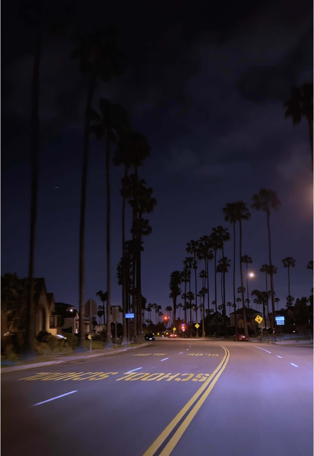 🌴Palm Tree Lined Late Night Drives🌴#LA #losangeles #california #dtla #downtownla #downtownlosangeles #losangelescalifornia #socal #californiacheck #cali #westcoastbestcoast #spot #view #palmtrees #latenightdrives #viral #trending #fyp #relatable #xyzbca 