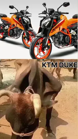 #eidmubarak #KTM 