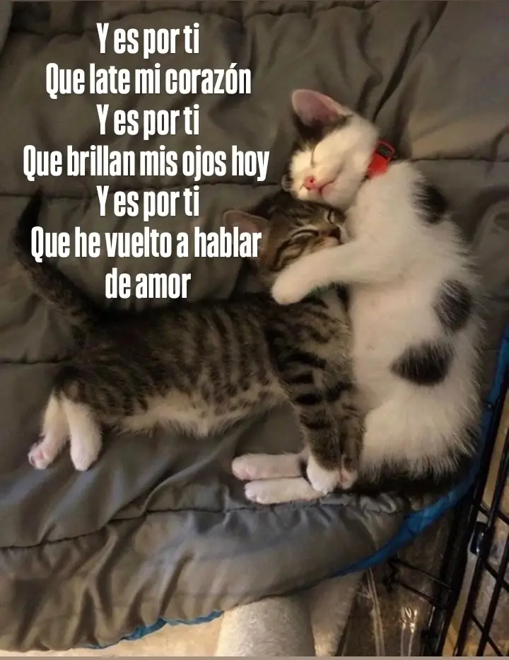 Es porti-remas_juanes #juanes  #esporti #remas #paratii #fyp 