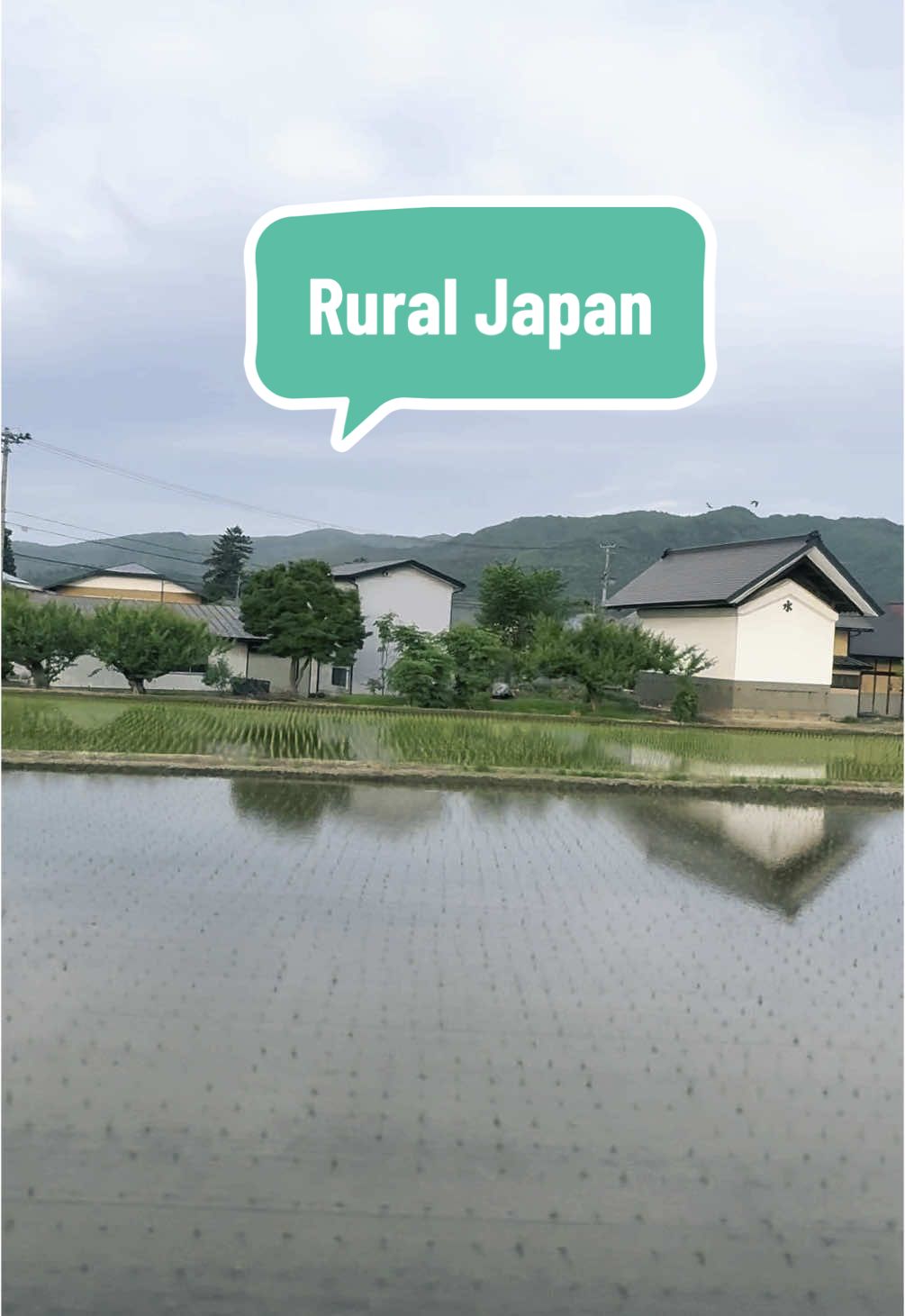Ever wondered how life is in Japan’s countryside? Discover the peaceful charm of rural Japan 🌾 From quiet mornings to scenic views, countryside life is a side of Japan you rarely see. #JapanTravel #RuralJapan #VisitJapan #JapaneseCountryside #CountrysideVibes  #SlowLiving #viral  #fyp 