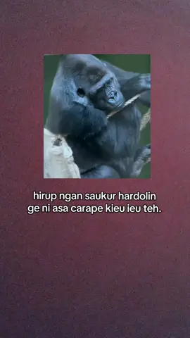 bagian 266 | asli karasa pisan #storysunda #fouryou #fyppppppppppppppppppppppp 