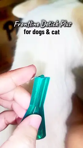 #frontline #fleaandtickprevention #antifleaandtick #detickfordogsandcats #furbabies #fyp 