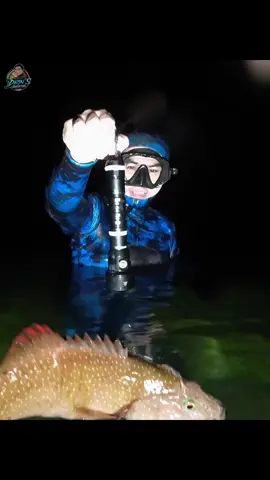 Ito Ang lagi Kong ginagamit SOFIRN SD09L DIVING FLASHLIGHT 6800Lumens#drinsadventure #divingflashlight #katusok #nightspearfishingphilippines #fyp #fypviralシ #sofirnflashlights @sofirn7 