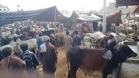✌️✌️✌️✌️✌️✌️✌️